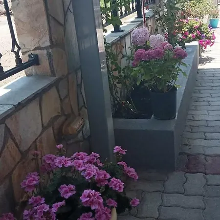 Гостевой дом Georgia