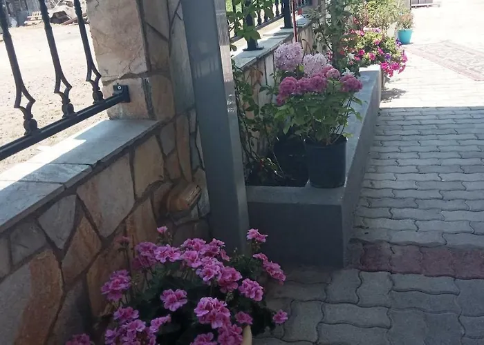 Гостевой дом Georgia